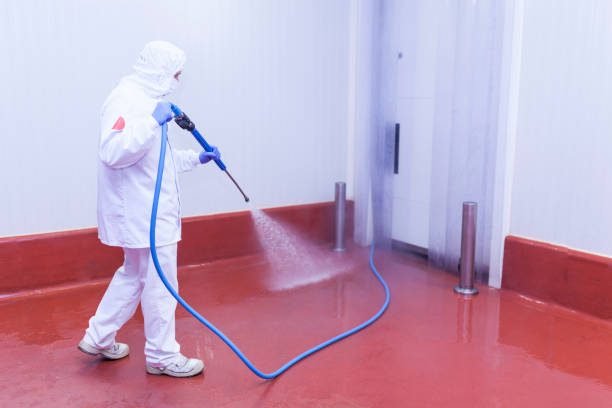 Best Pre-Holiday Cleaning  in Orange, TX